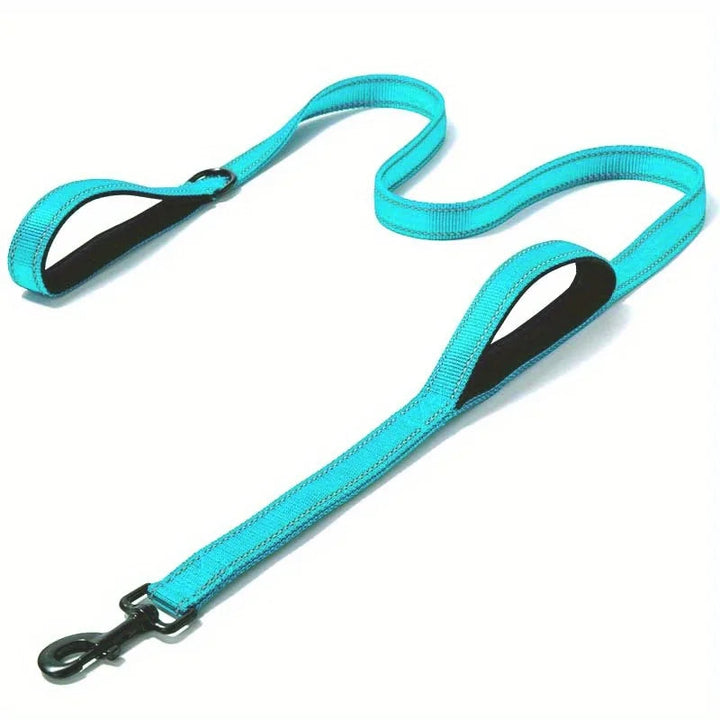 Durable double-handle dog leash with reflective stitching, enhancing pet safety during evening walks.