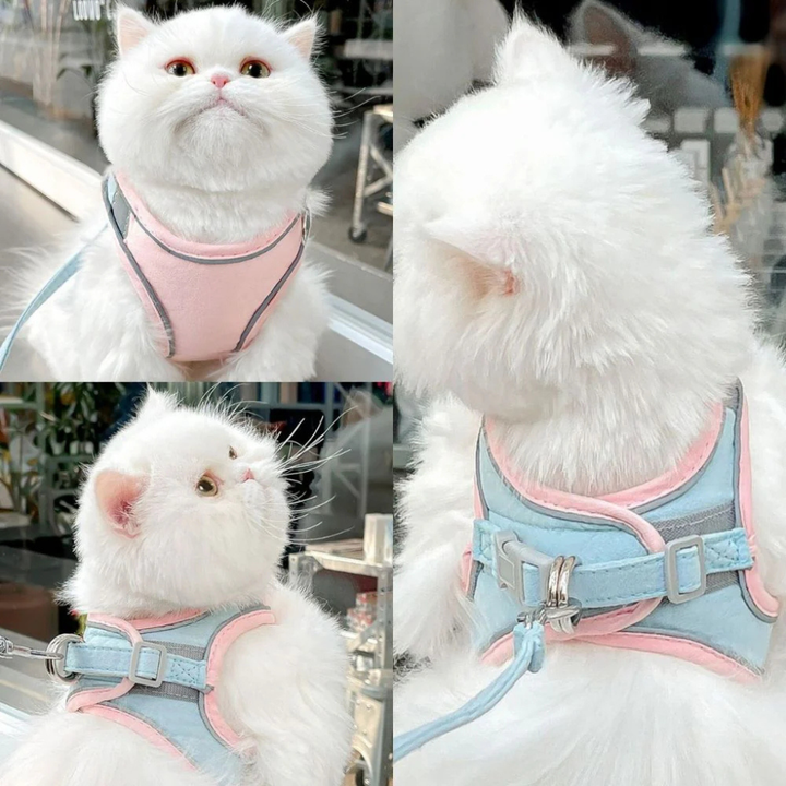 Adjustable cat or small dog harness with matching leash, featuring reflective straps for night safety.