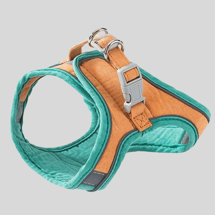 New Pet Adventure outdoor gear: a durable reflective harness and leash set for walking cats and small dogs.