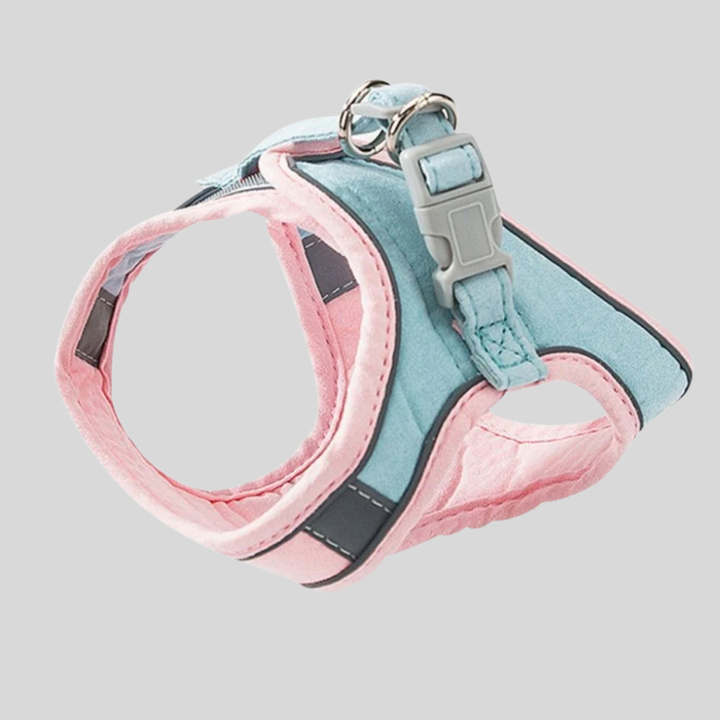 Comfortable reflective pet harness and leash combo, perfect for secure and stylish cat and small dog adventures.