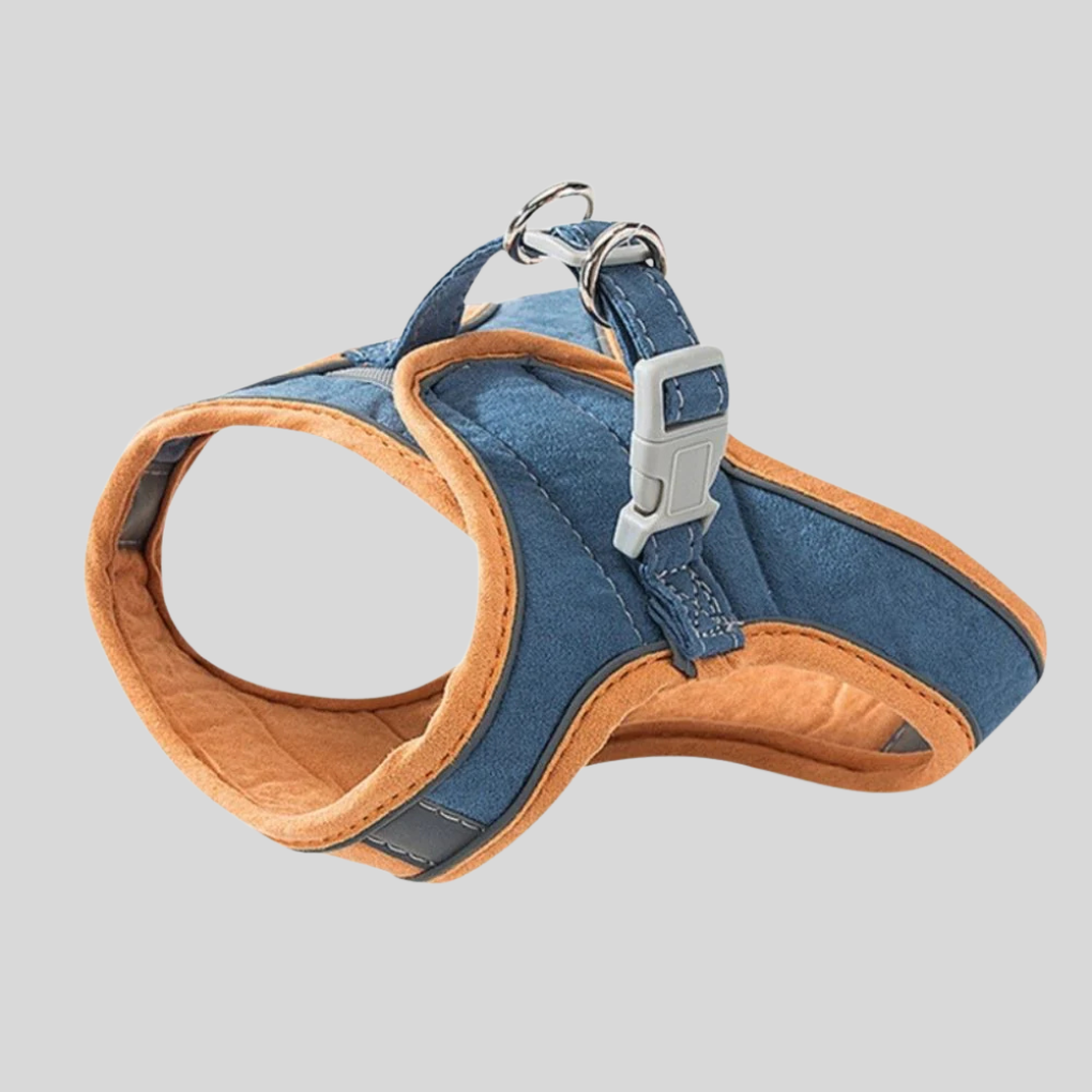 Small pet walking harness and lead set, designed with reflective accents for enhanced visibility and safety.