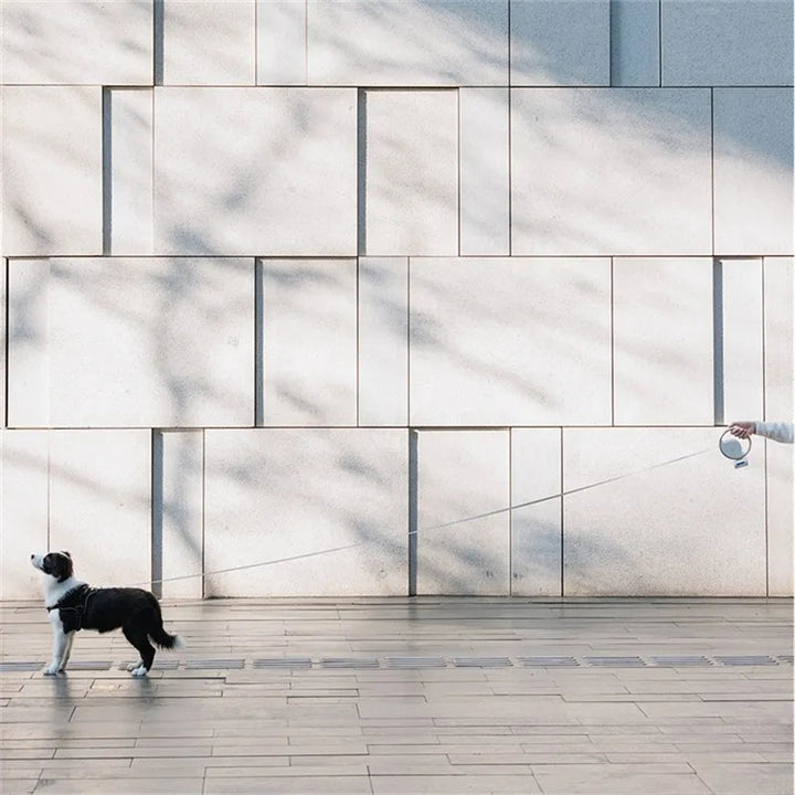 Black retractable dog leash, 16ft, with comfortable grip and bright LED flashlight, outdoor gear