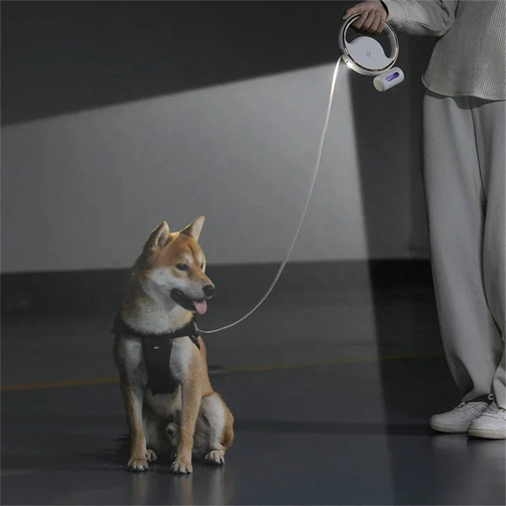 Pet safety walking accessory: retractable dog leash with hands-free flashlight, ideal for night
