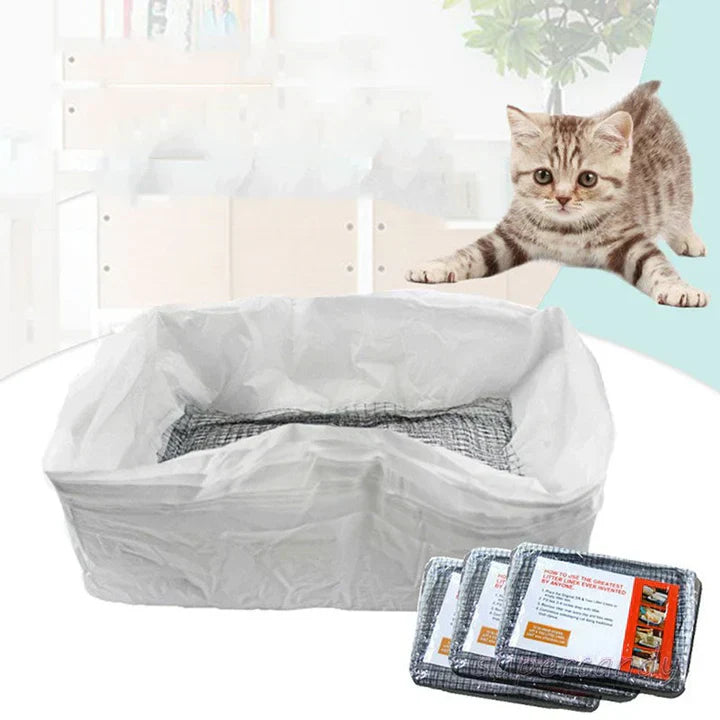 A cat's paw stepping into a litter box with a reusable odor control liner visible