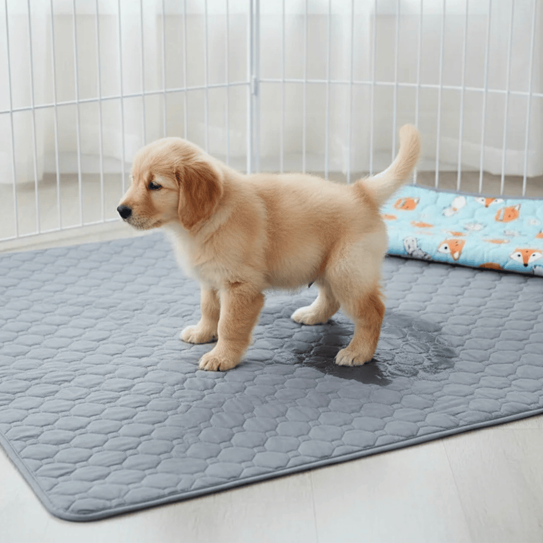 Washable pet training mat for dogs, non-slip waterproof pee pad, kennel liner