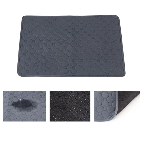 Dog sitting on a large, reusable pet training pad, ideal for puppy training and home hygiene