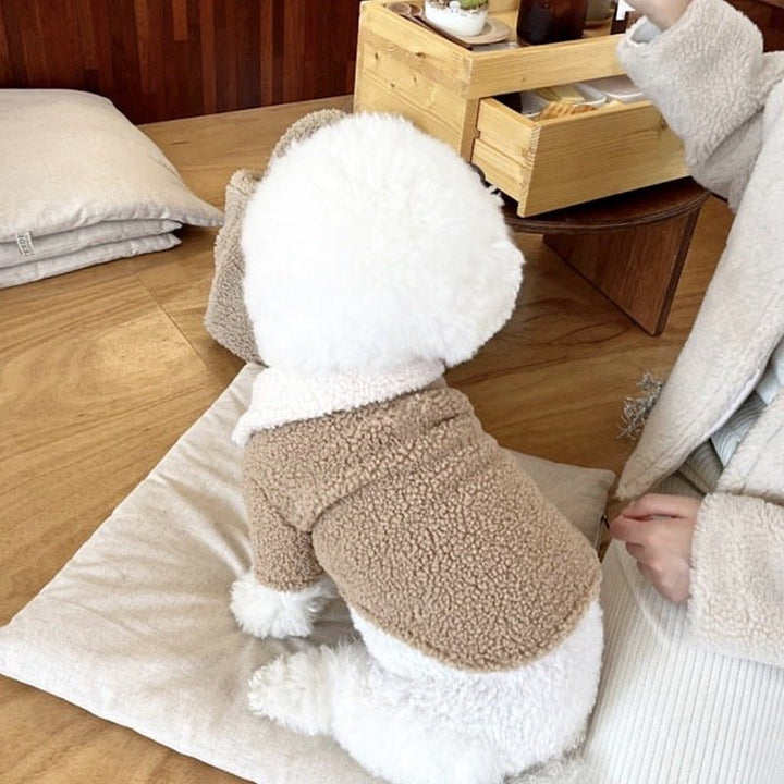 Stylish small dog in a red bear pattern winter jacket, perfect for cold weather