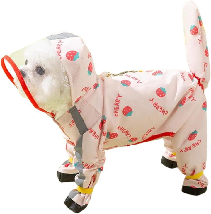 Adorable small dog in a patterned waterproof raincoat and booties, focused view of pet apparel