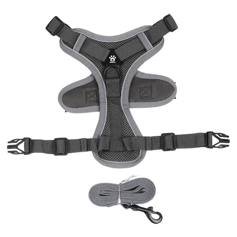 Black reflective no-pull harness for small dogs with adjustable straps and a coordinated leash.