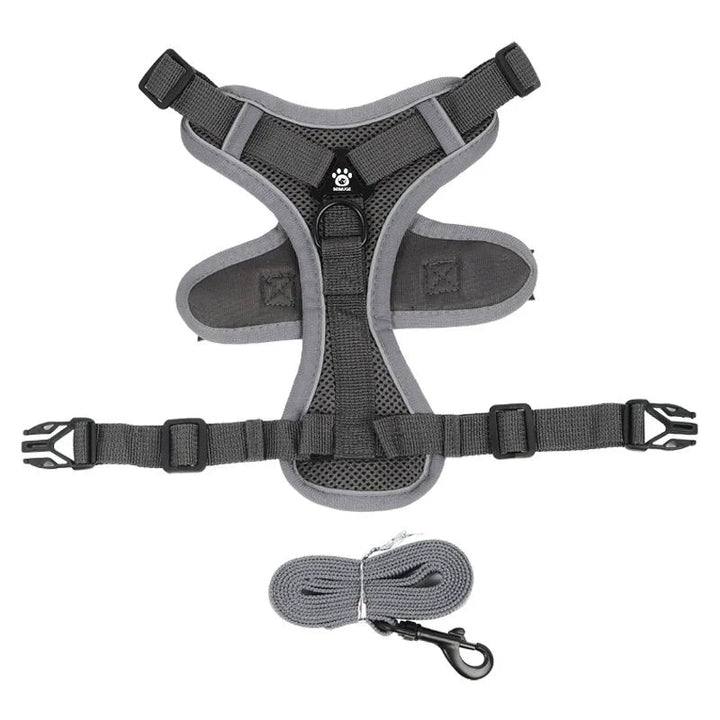 Black reflective no-pull harness for small dogs with adjustable straps and a coordinated leash.