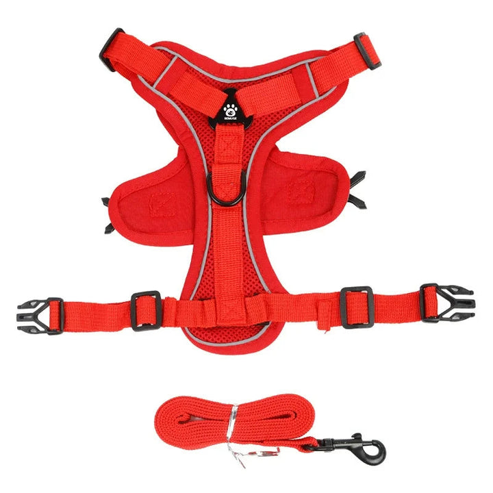 Front-clip no-pull harness and leash set, reflective and adjustable, for small dog walking comfort.