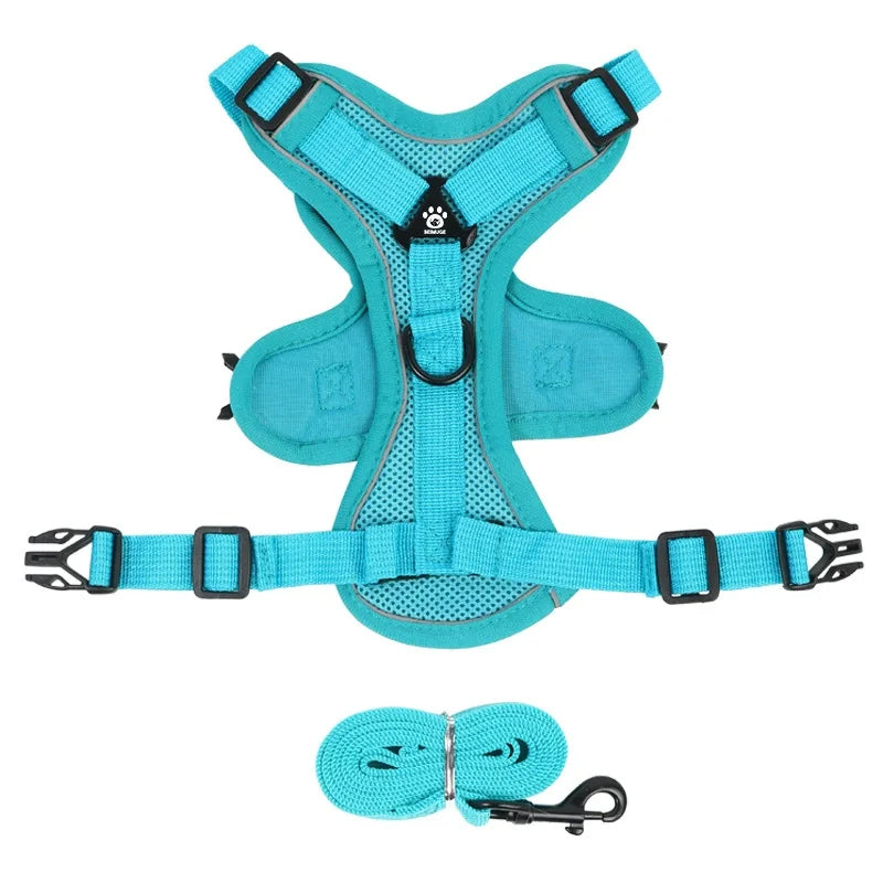 Small pet reflective harness and leash combo, promoting safety and no-pull training for active dogs.