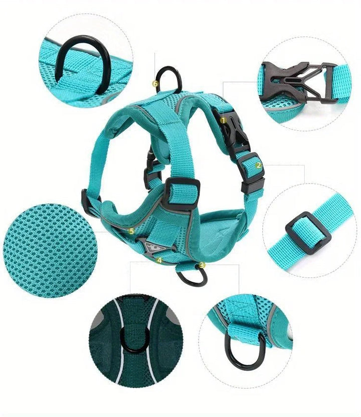 No-pull dog harness with reflective trim and matching leash for small breeds, ideal for night walks.