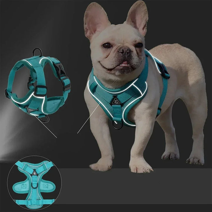 Reflective small dog harness with strong no-pull front clip, paired with a durable matching leash.