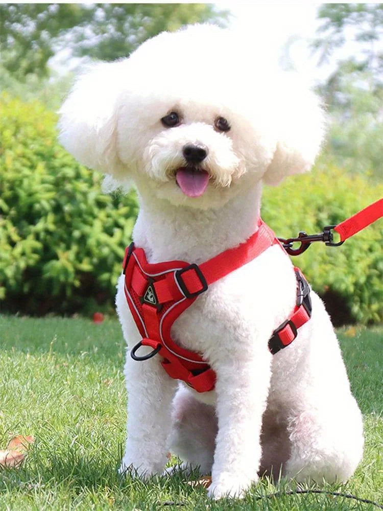 Small dog reflective safety harness for walks, with a no-pull design and included leash for convenience.