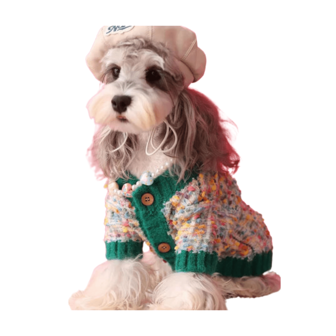 Medium dog in a vibrant colorful dotted pet cardigan sweater, side profile, soft knit