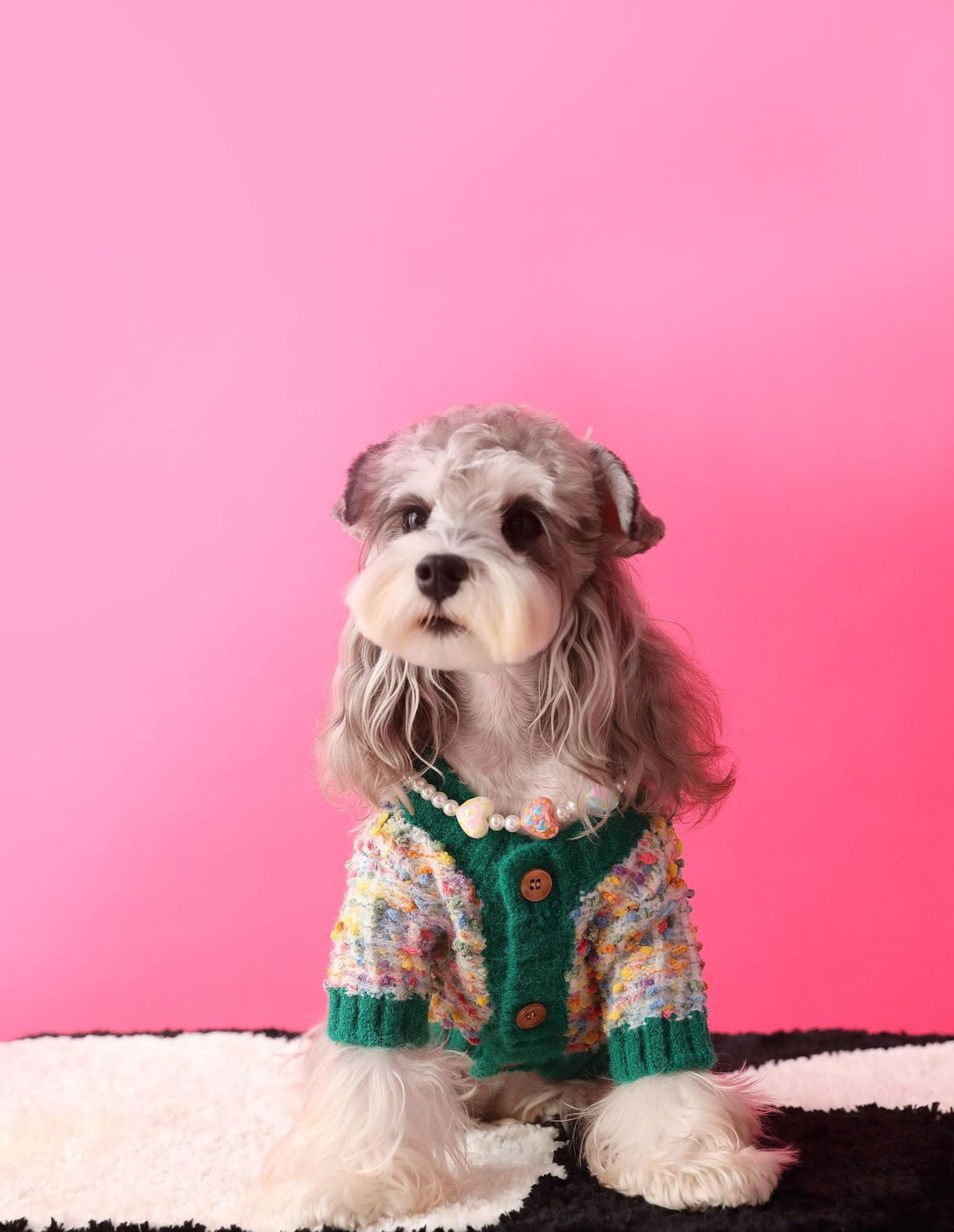 Close-up of a colorful dotted pattern on a dog's cardigan sweater, machine washable fabric