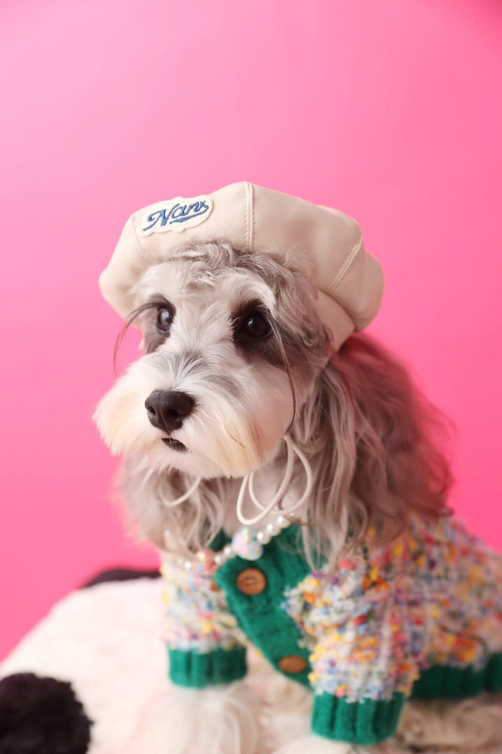 Small dog clothes: warm pet cardigan sweater with colorful dots, playful design for pets