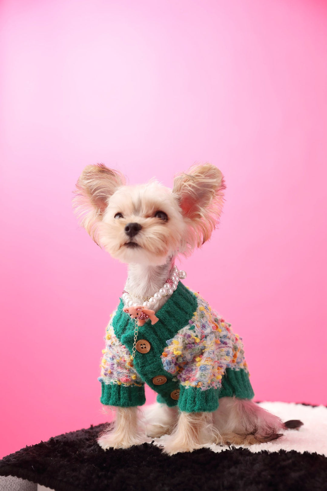 Colorful dotted dog sweater for medium dogs, knitted pet cardigan, soft and warm outfit