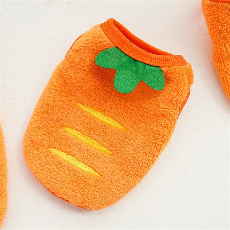 Small dog wearing an adorable orange carrot pet costume with green leafy top for Easter.