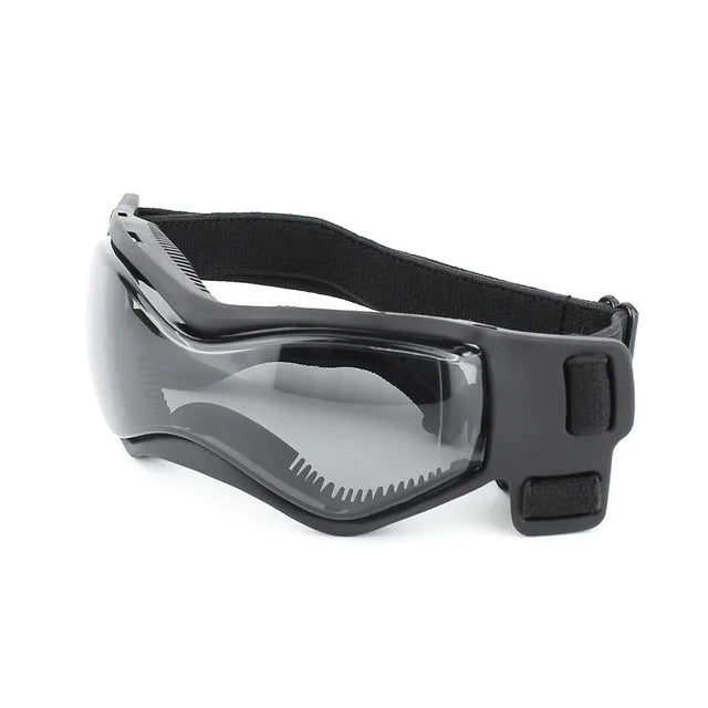Small dog wearing UV protective dog goggles for sun protection during outdoor adventures
