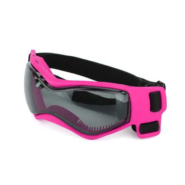 UV protective dog goggles for small dogs, essential pet safety gear for adventures