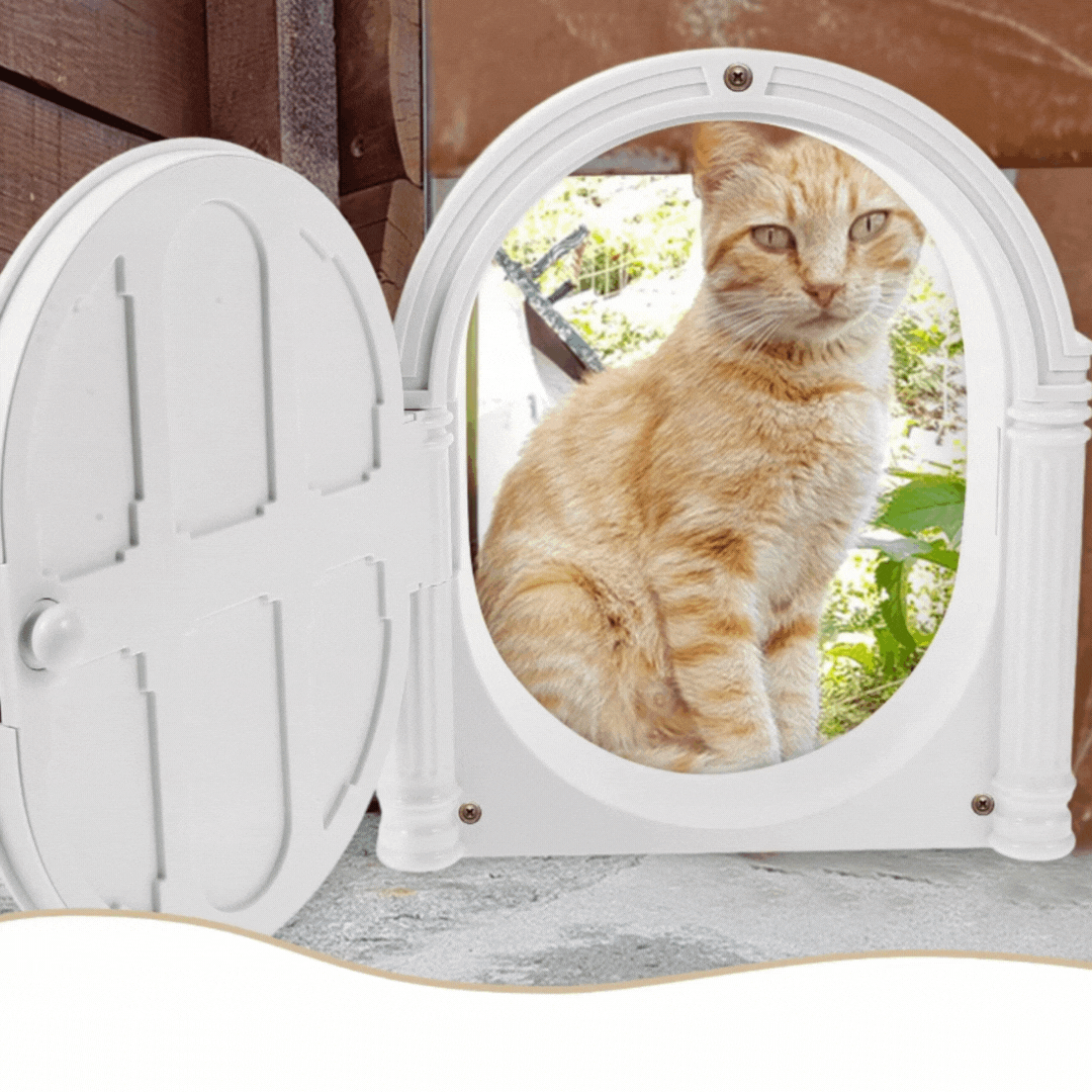 Small pet decorative front door cat toy, classic brown design, perfect for cat enrichment and play.