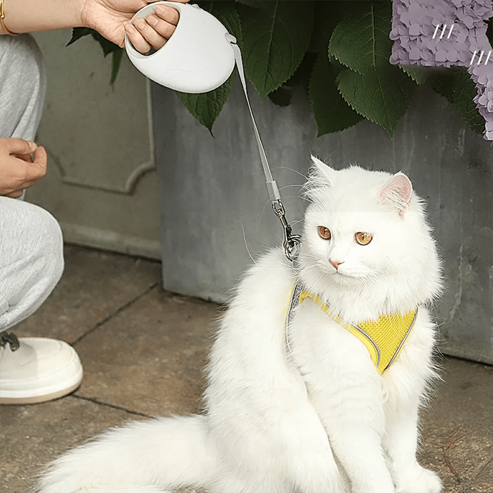 Comfortable retractable dog leash for medium pets, 16ft length, black nylon, ideal for pet training