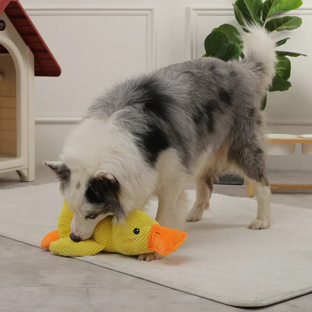 Soft plush squeaky duck dog toy for pet play, durable and washable design for puppies and adult dogs