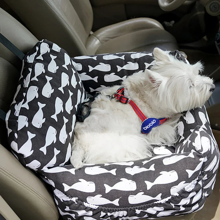 Airline approved pet carrier for small dogs, lightweight and easy to carry.