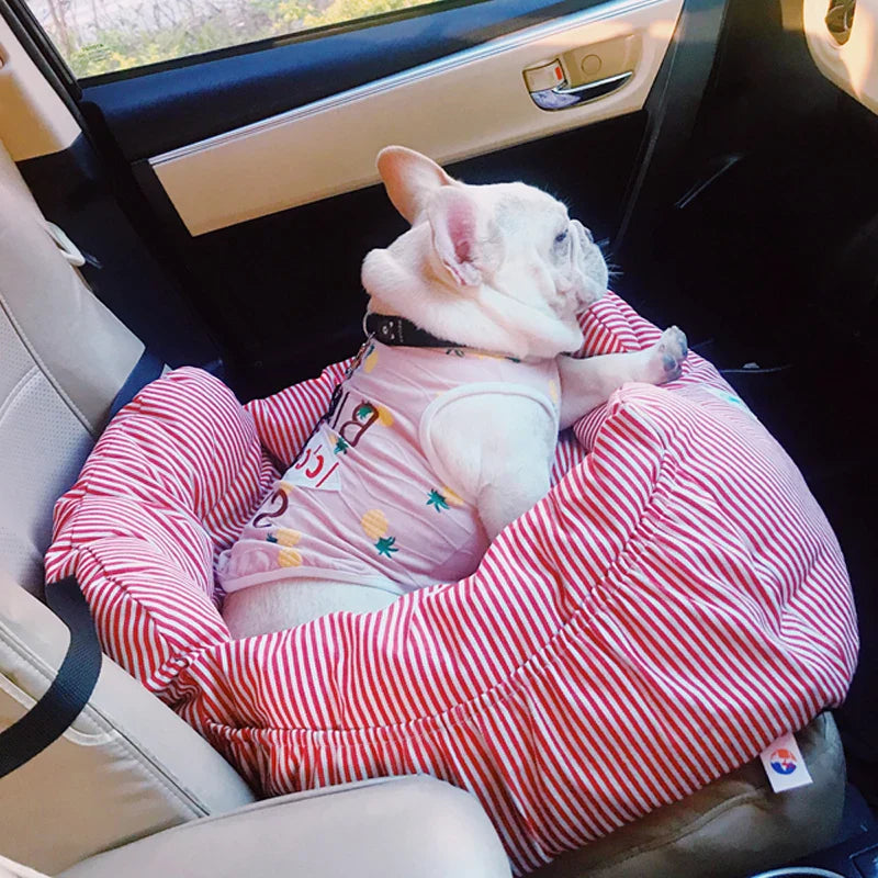 Small pet travel carrier, soft-sided with ample ventilation for comfort.