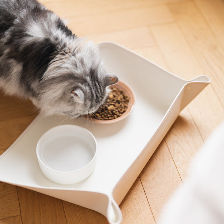 Waterproof pet mat for food & water bowls, keeps floors clean for messy eaters