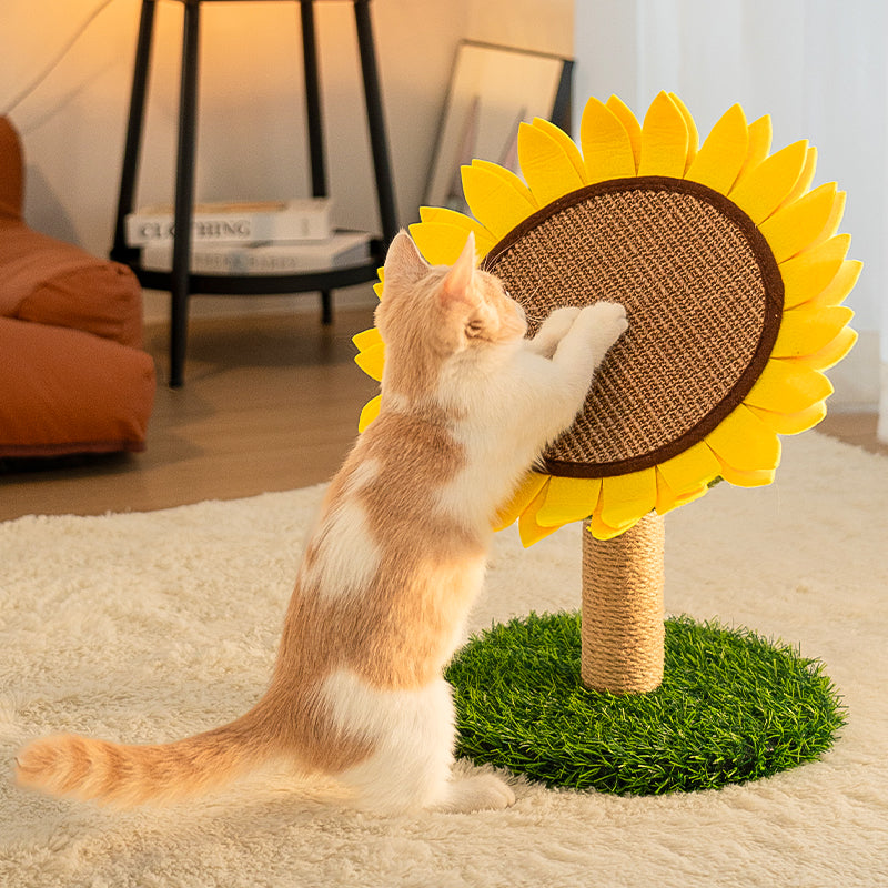Sunflower cat scratcher with sisal pole, soft petals, and sturdy green grass-like base for active cats.