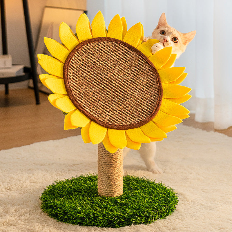 Bright yellow sunflower pet toy, a robust cat scratcher with natural sisal and a firm green support.