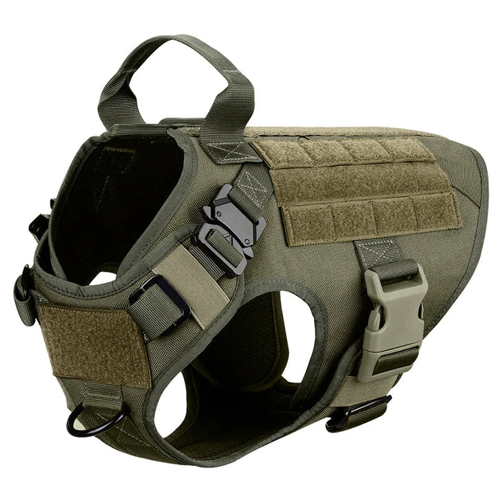 Back view of tactical dog harness, showcasing MOLLE webbing and sturdy construction