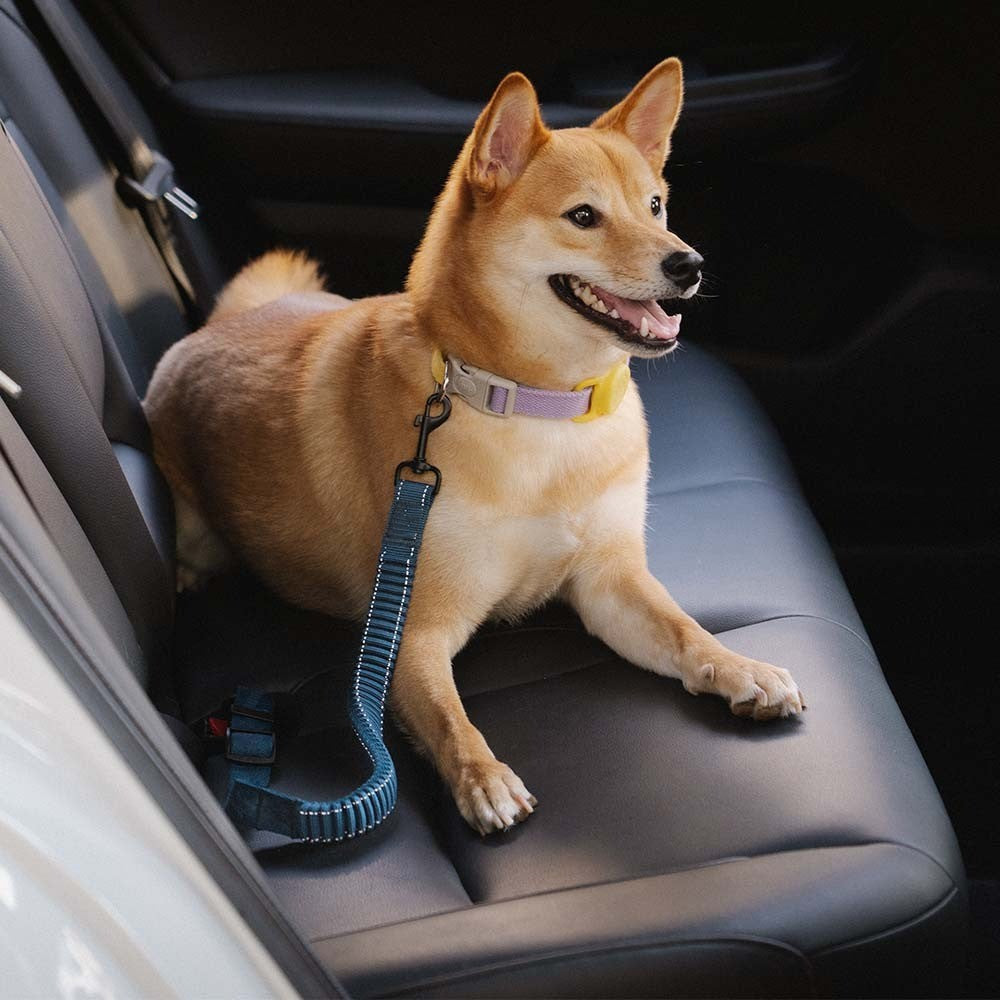 Adjustable pet safety car seat belt, secures dog harness for safe animal transport