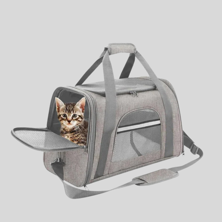 Unisex airline approved pet carrier, black, for small cats and dogs, with mesh panels