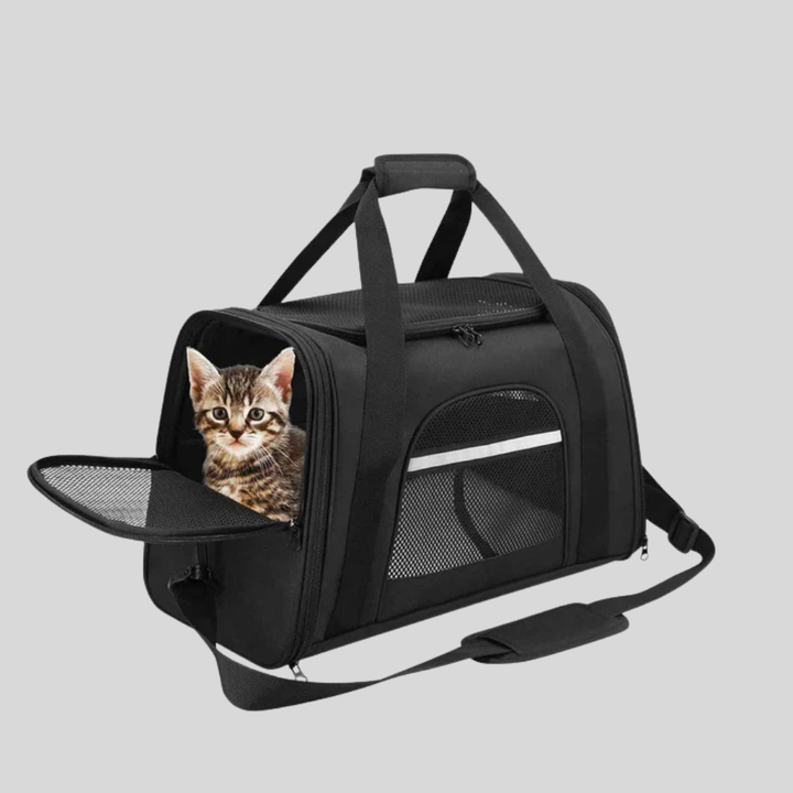 Small pet travel bag, airline approved, in cabin type with shoulder strap, for cats & dogs
