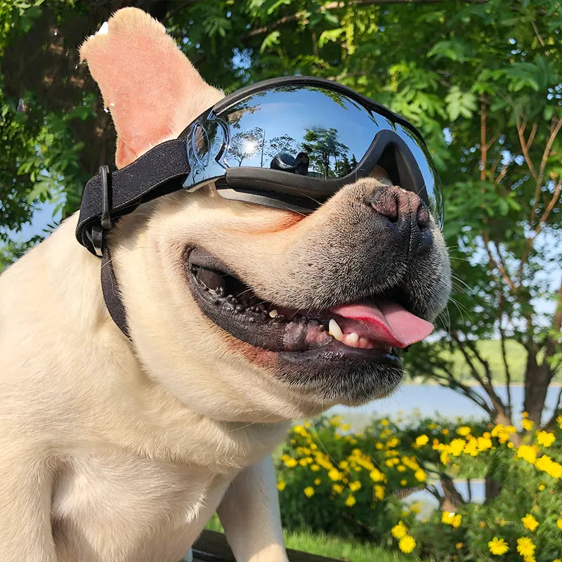 Unisex dog goggles with UV protection, windproof design for outdoor pet safety and style
