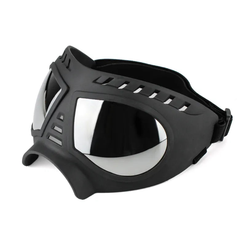 Stylish dog goggles, windproof and UV protective, perfect pet accessory for sunny days