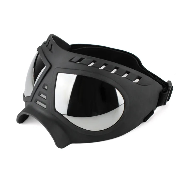 Stylish dog goggles, windproof and UV protective, perfect pet accessory for sunny days