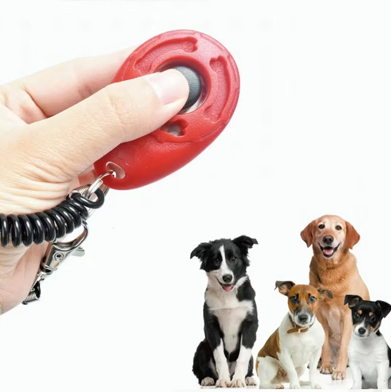Essential dog accessory: training clicker with wrist spiral and snap hook design