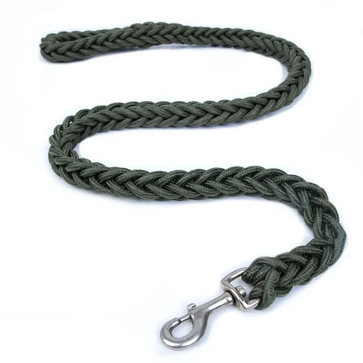 Green durable nylon dog leash with ergonomic comfort grip handle, ideal for pet owners