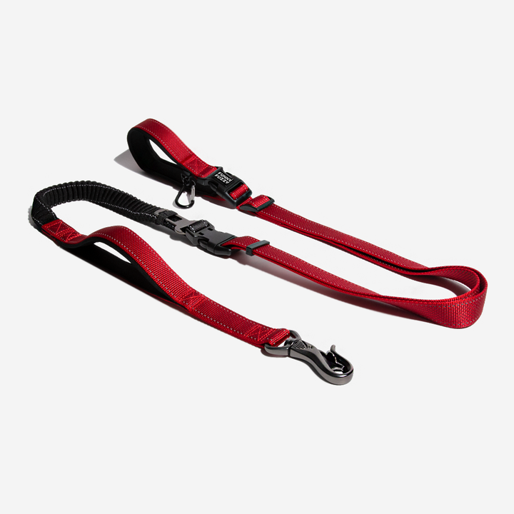 Unisex hands-free dog leash for jogging or walking, reflective nylon for pet safety.