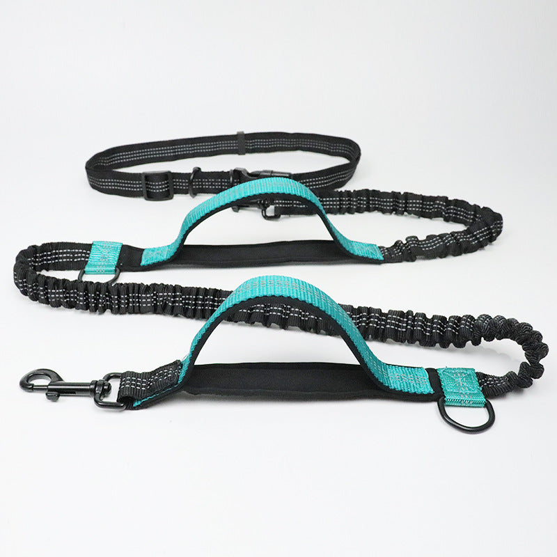 Multifunction adjustable dog leash with reflective stitching, suitable for various outdoor activities.