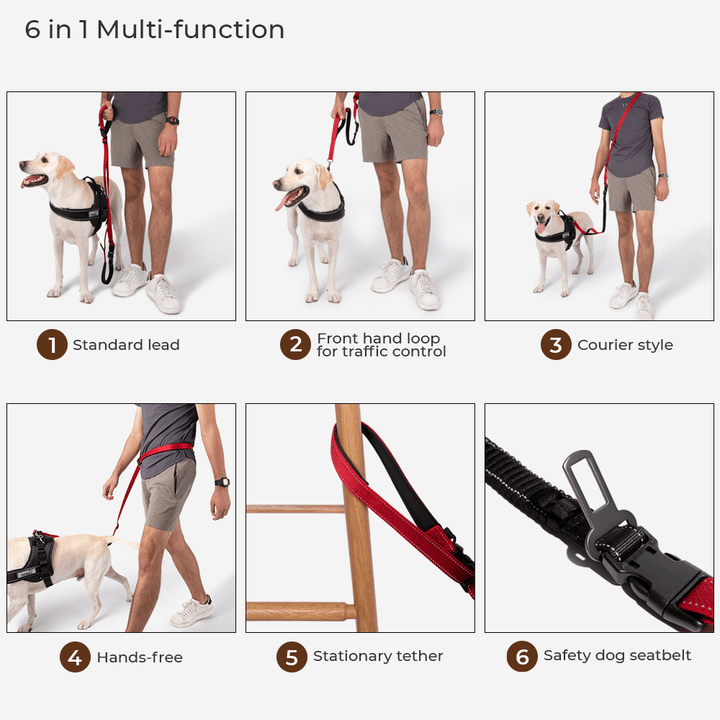 Adjustable multifunction dog leash with integrated seatbelt buckle, perfect for car travel.