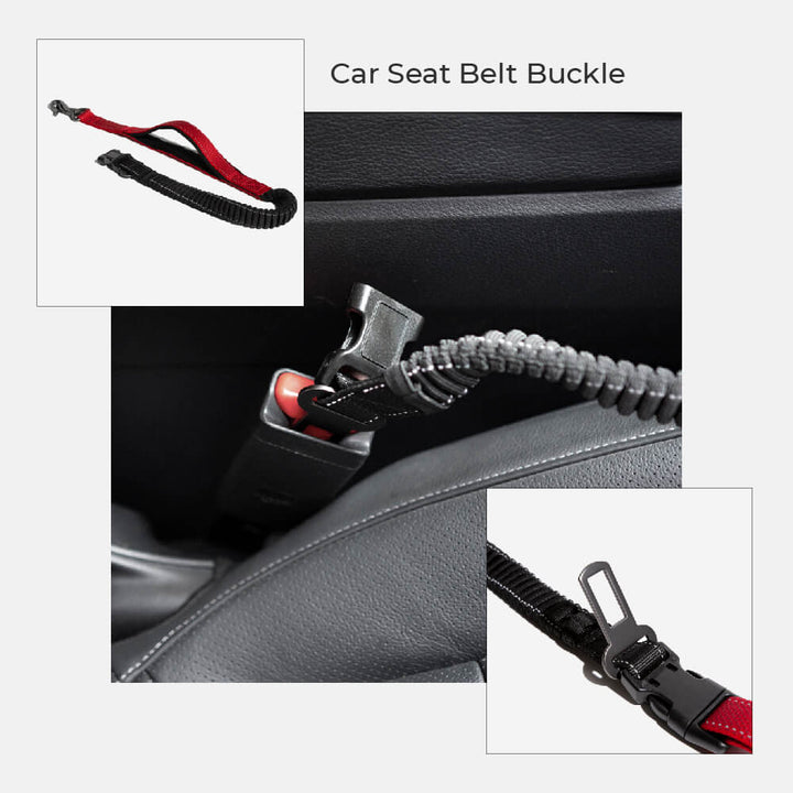 Close-up of the seatbelt attachment on a multifunction dog leash, ensuring pet safety in car.
