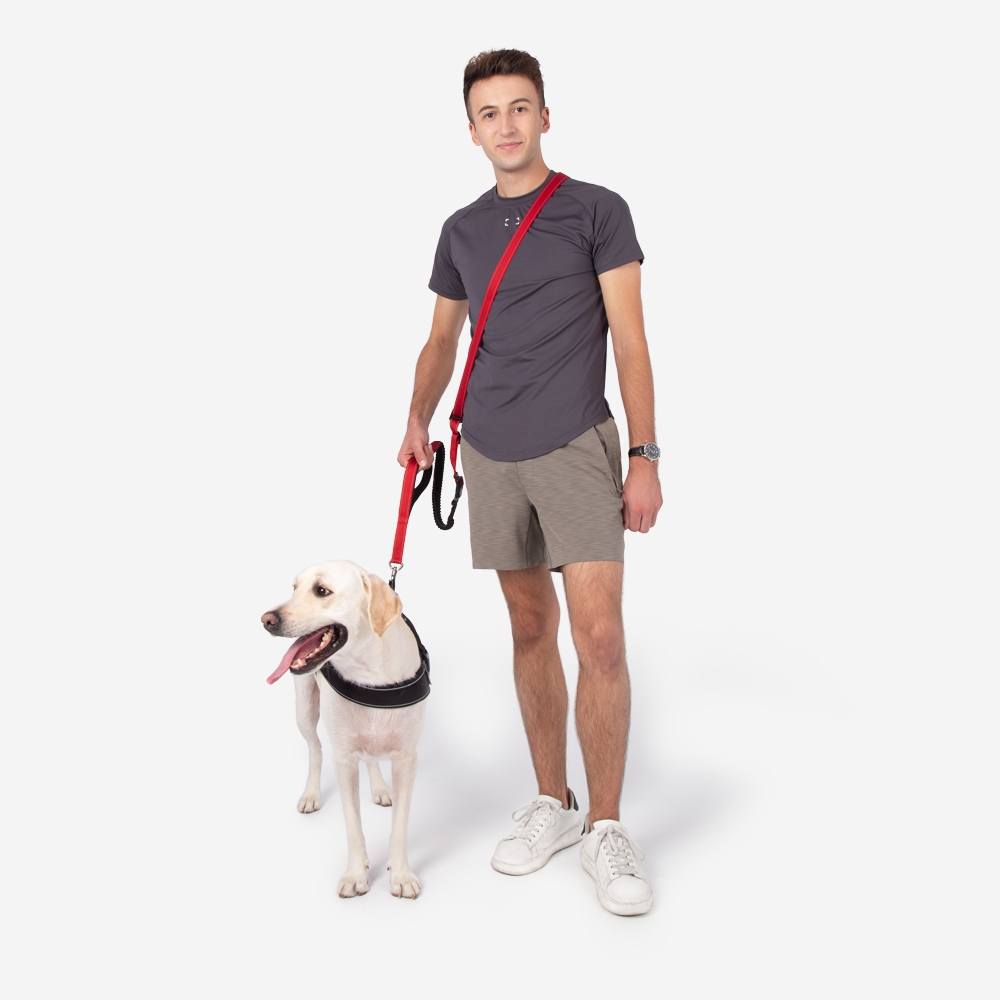 Reflective hands-free dog leash wrapped around waist, showing adjustable components for comfort.