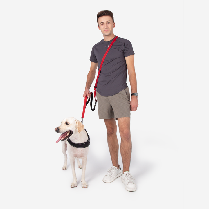 Reflective hands-free dog leash wrapped around waist, showing adjustable components for comfort.