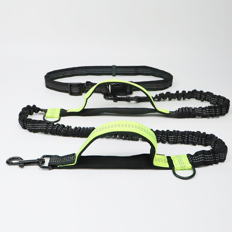 Detailed view of the high-quality clasp and seatbelt buckle on a strong nylon dog leash.
